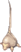 Stem Worm